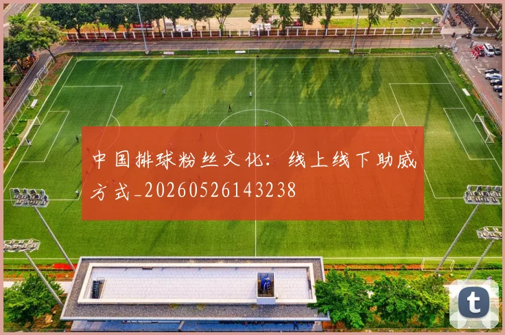 中国排球粉丝文化:线上线下助威方式_20260526143238