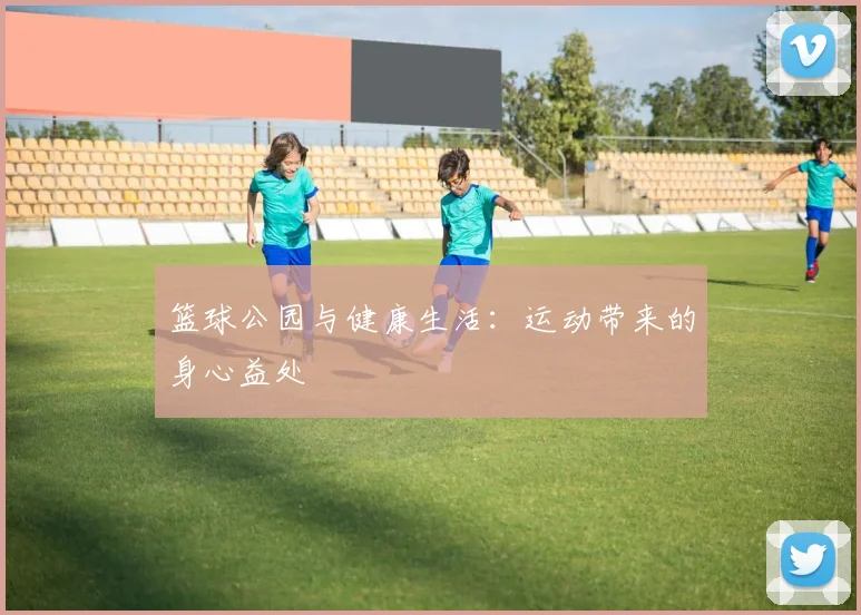 篮球公园与健康生活:运动带来的身心益处